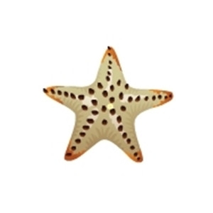 Chocolate Chip Starfish